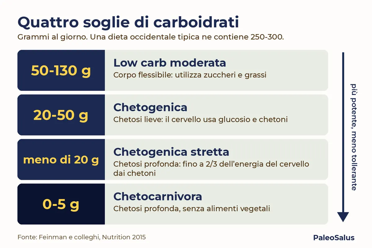 Le quattro soglie di carboidrati al giorno: low carb moderata 50-130 g, chetogenica 20-50 g, chetogenica stretta meno di 20 g, chetocarnivora 0-5 g